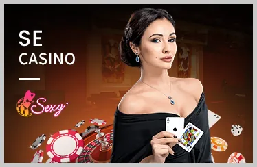Casino RR99 VIP